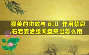 猴姜的功效与 🌴 作用禁忌,石岩姜治腰间盘突出怎么用